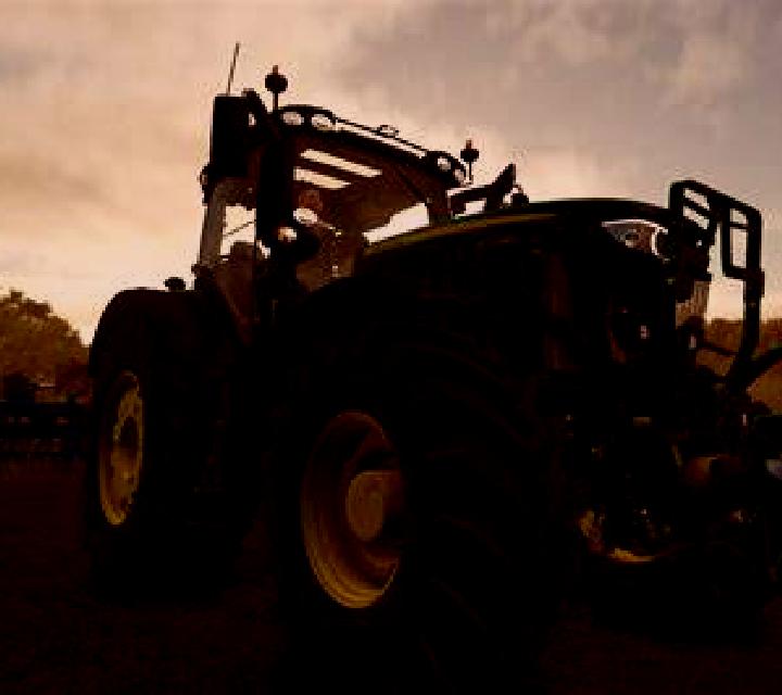 Katia Palomares del Campo escort