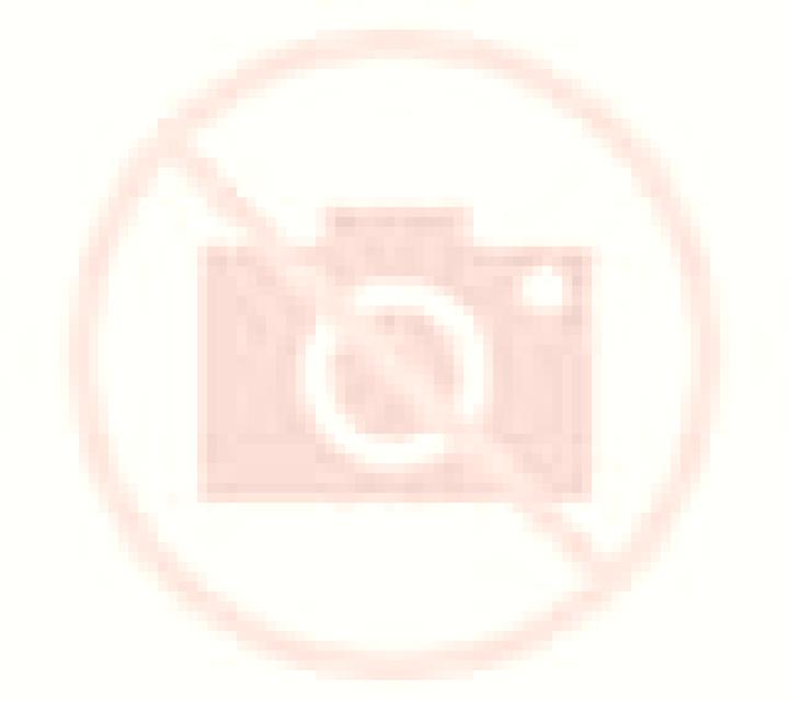 Laia 2 Lliria escort