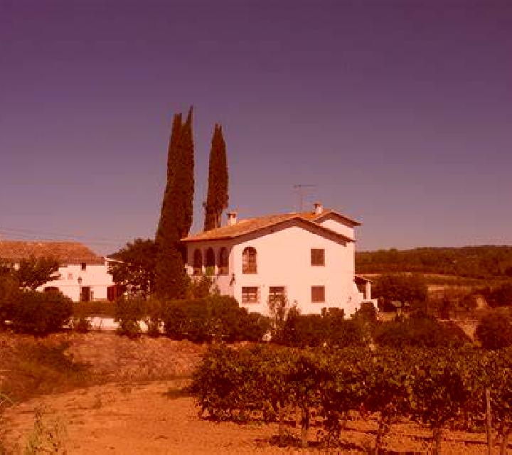 Laia 3 el Pla del Penedes escort