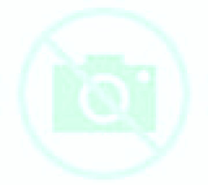 Laia 3 Noez escort