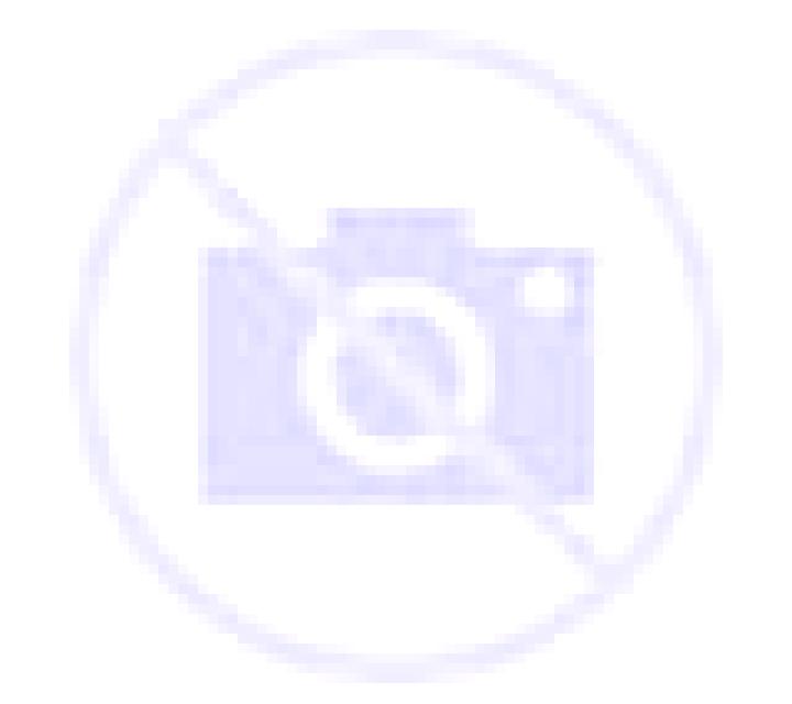 Lola 3 Herce escort