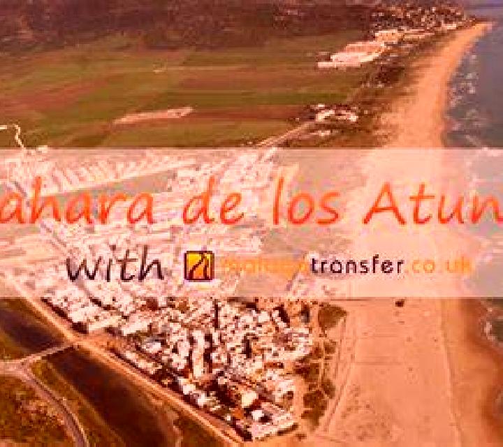 Lola 3 Lierganes escort