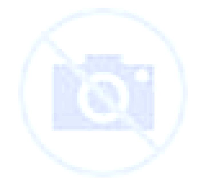 Lola Orendain escort