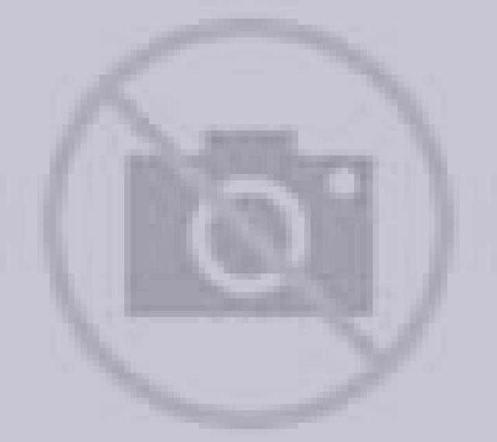 Lorena Jeronimos escort