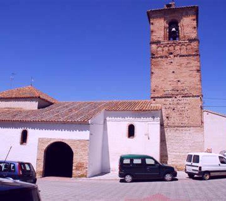Marta 2 Fuensanta escort