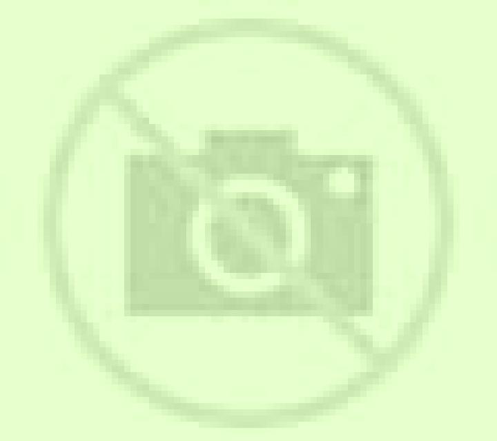 Martina Solorzano escort