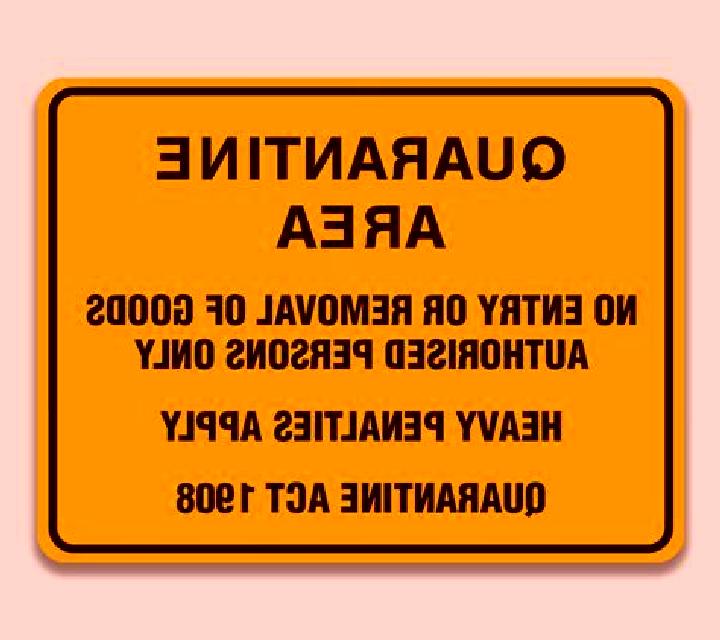 Nadia 2 Orista escort