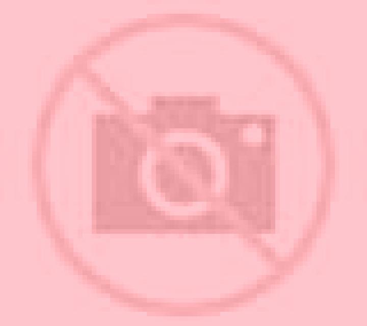 Natalia 3 A Rua escort