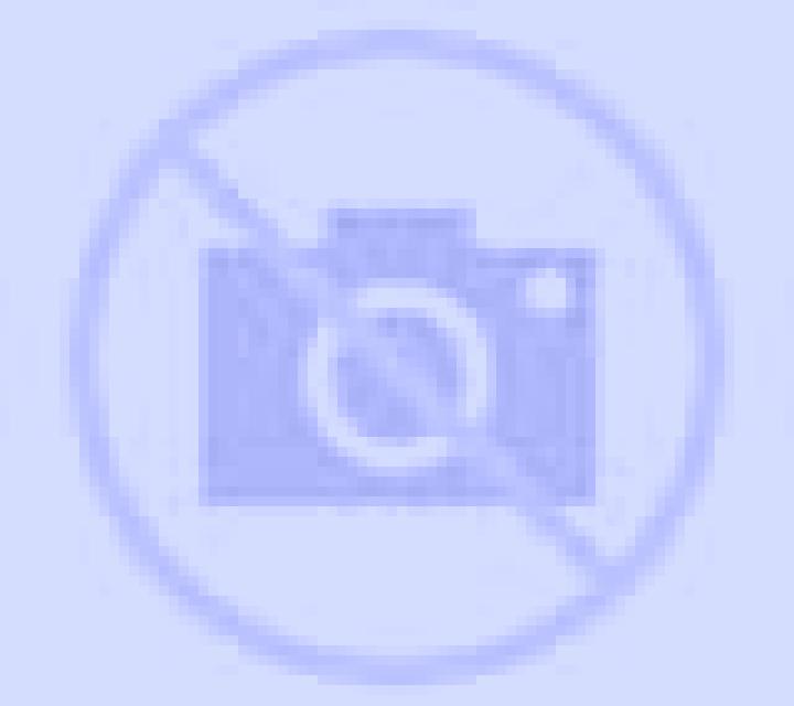 Natalia 3 Palmera escort
