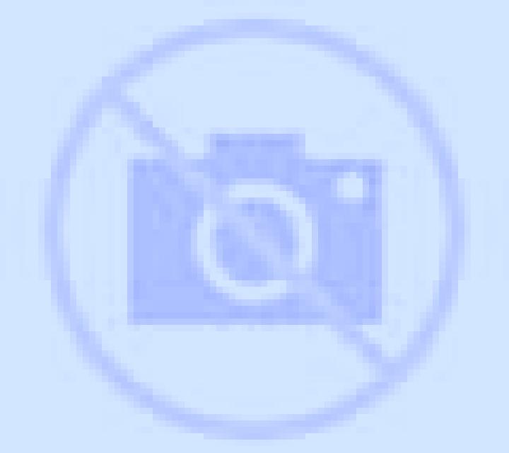 Natalia Viana escort