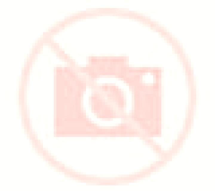 Noa 3 Alcublas escort