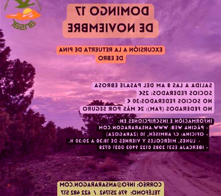 Noa 3 Bolanos de Campos escort