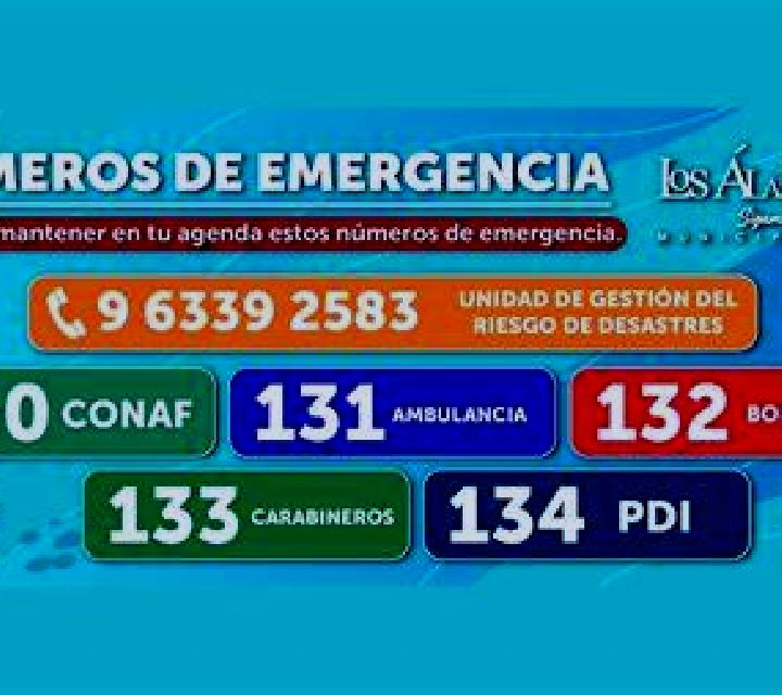 Noa 3 Zamora escort