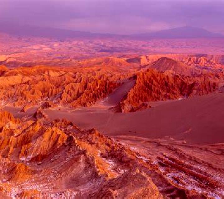 Noelia Torres de Alcanadre escort