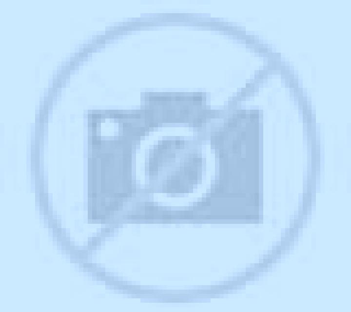 Nora 3 Cogollos escort