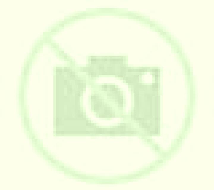 Nora 3 Herramelluri escort