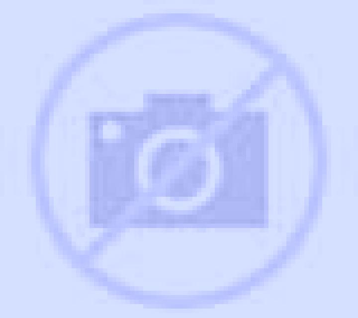 Nora Aguilar escort