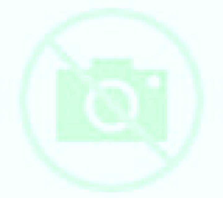 Olivia Castejon de Tornos escort