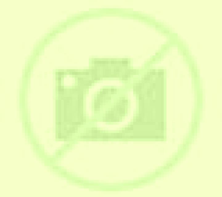 Olivia Estollo escort