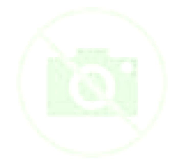 Olivia Montan escort