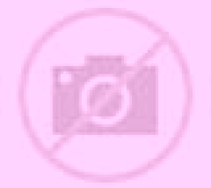 Olivia Requena de Campos escort