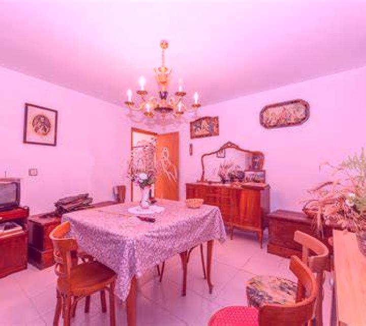 Paloma 2 Opanel escort