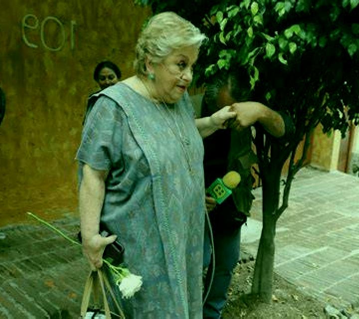 Paloma 3 Basauri escort