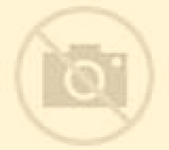 Paloma 3 Saus escort