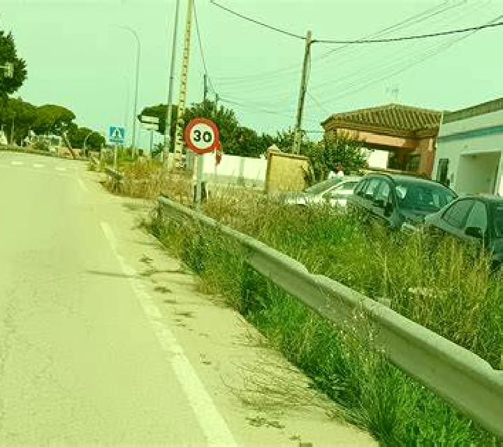 Paloma Castellbisbal escort