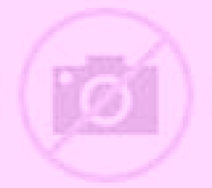 Paloma Flix escort