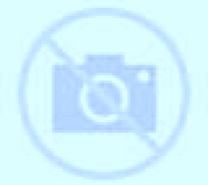 Paloma Losacino escort