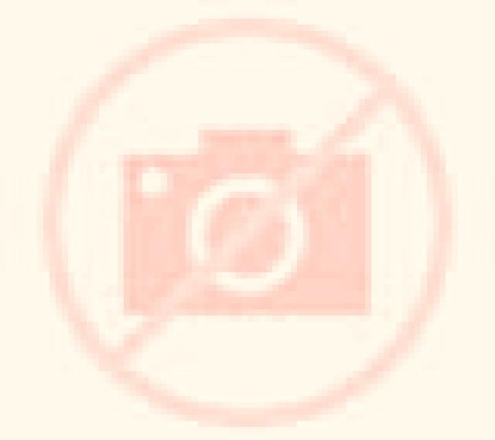 Patricia Mohernando escort
