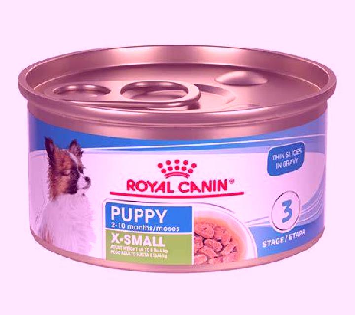 Paula 3 Manzanillo escort