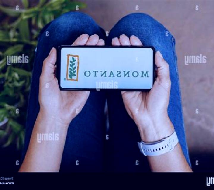 Regina 3 Allueva escort