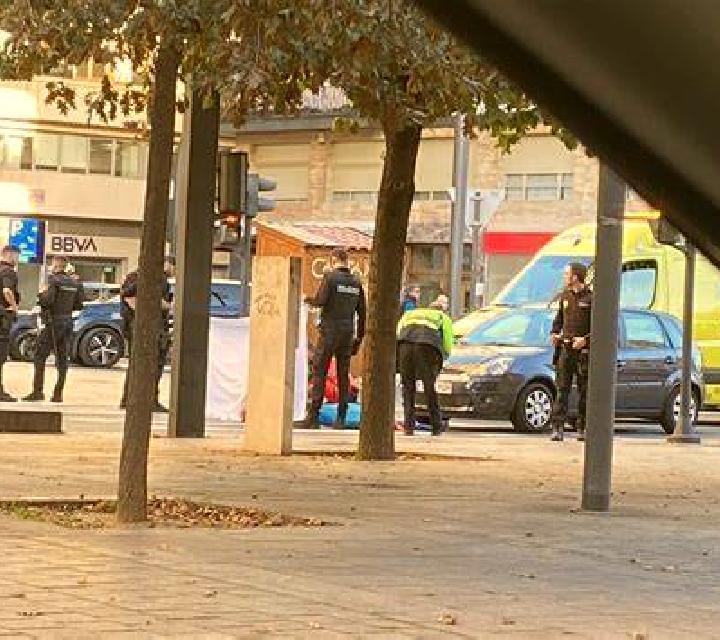 Regina Cardenete escort