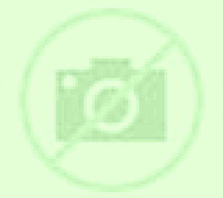 Regina Santa Ines escort