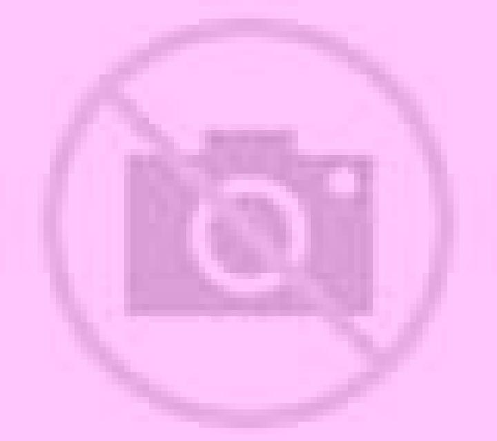 Regina Talarrubias escort