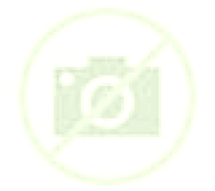 Renata 2 Cerdido escort