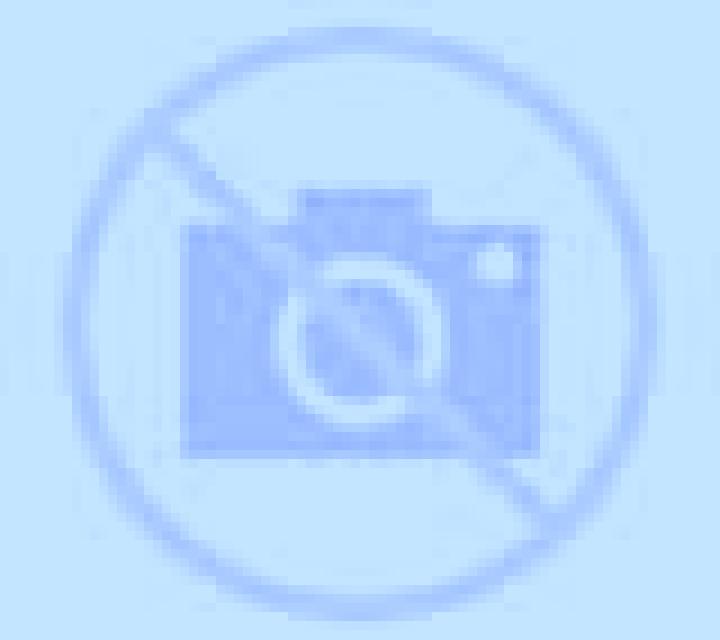 Renata Carrias escort