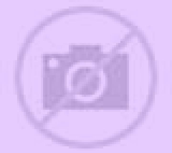 Renata Chalamera escort