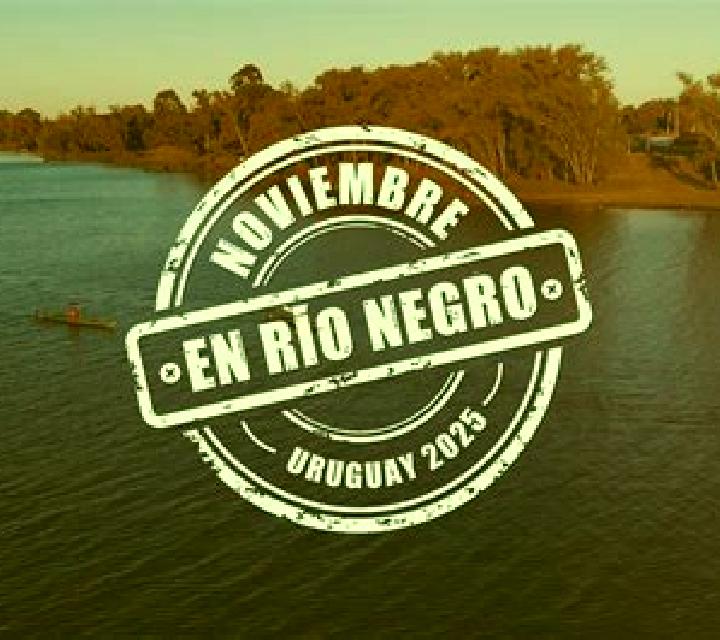 Rocío 2 El Provencio escort