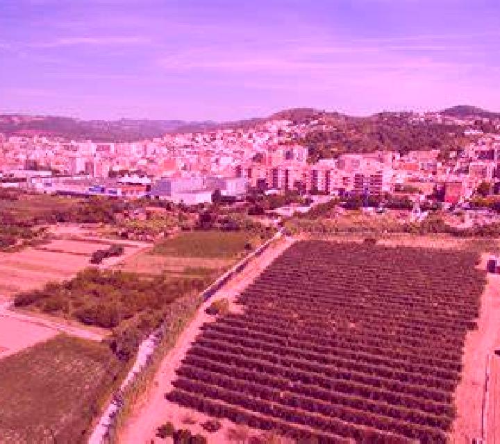 Rocío 3 Frigiliana escort