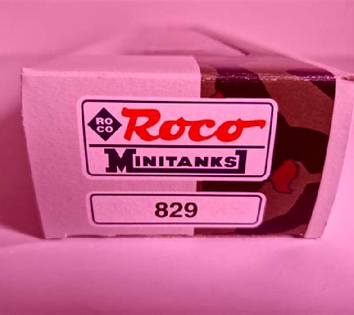 Rocío Vidayanes escort