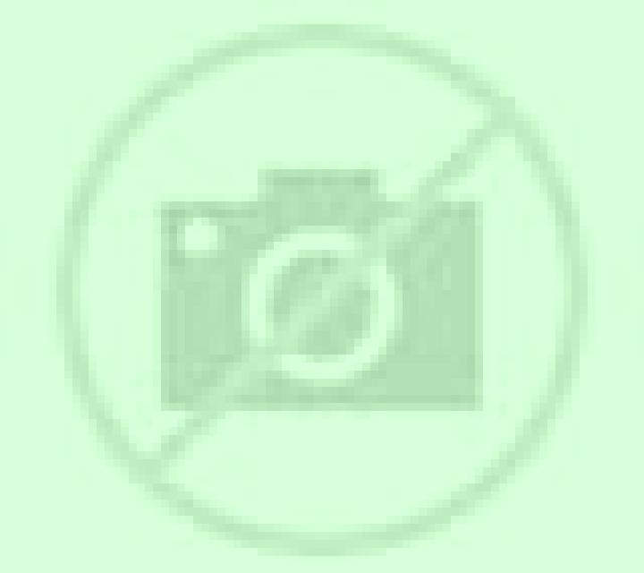 Rosa 3 Alfafar escort