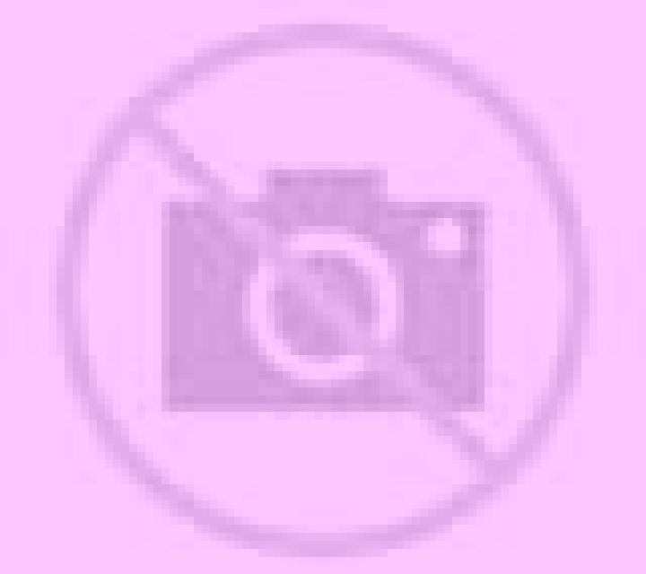 Rosa 3 Genave escort