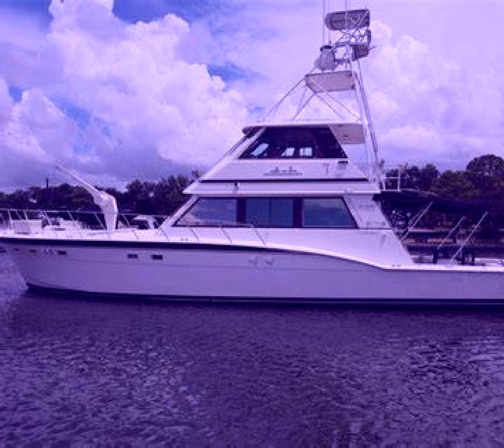 Rosa 3 Mazuela escort