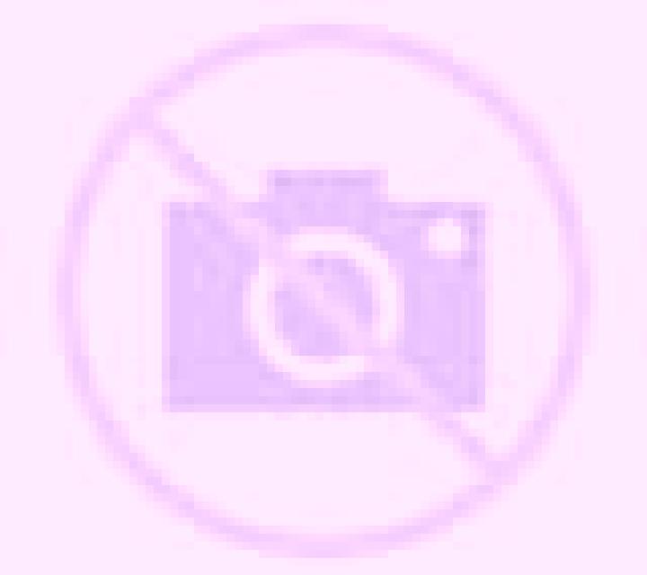 Rosa 3 Pontils escort