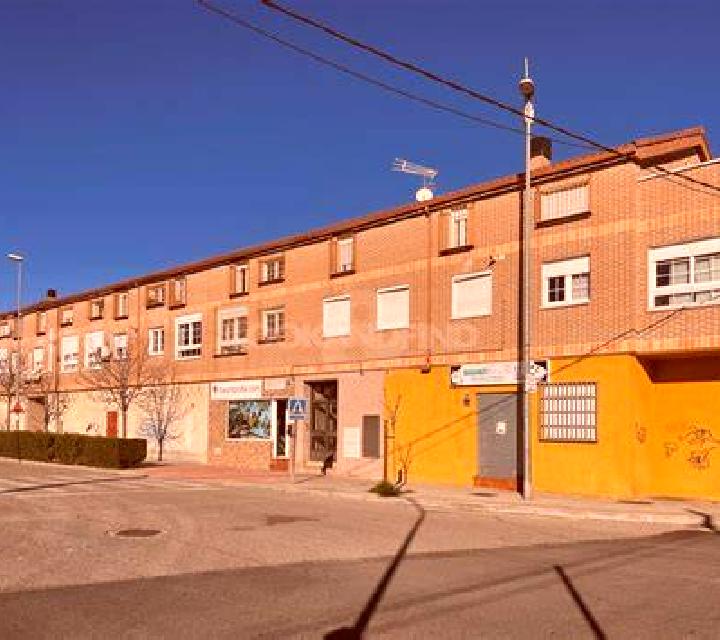 Rosa 3 Sotillo de la Ribera escort