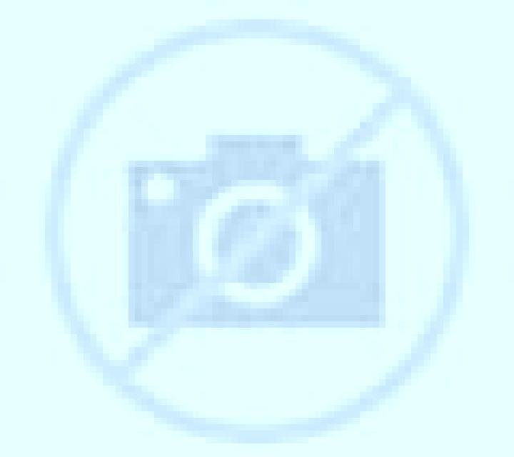 Rosa Cuatro Vientos escort