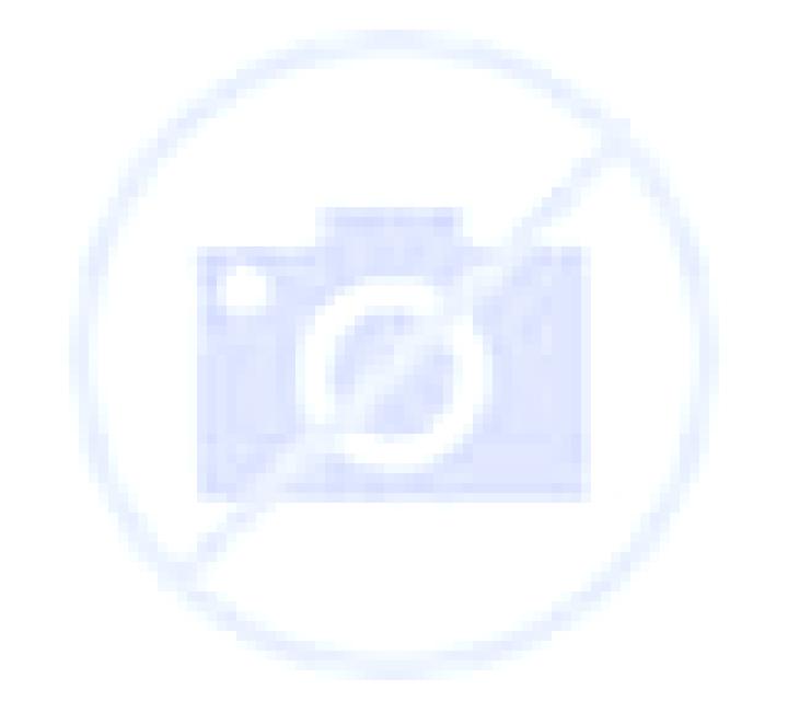Salma 2 Sol escort